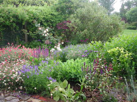 My favourite border