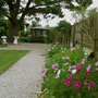 my garden 2007