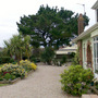 my garden 2007