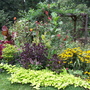 Summer_flowers__8-9-06_076