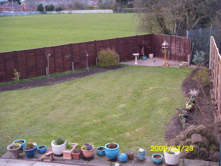 view from bedroom window of garden