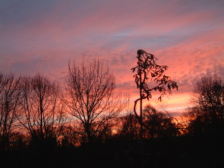 sunset 23rd November
