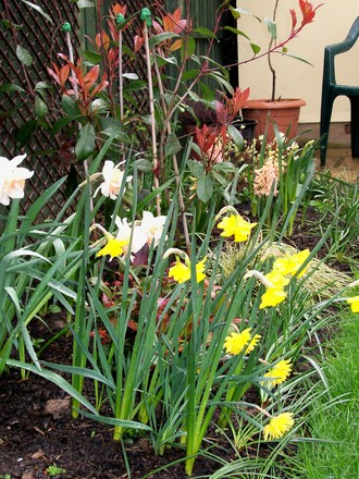 Spring Display
