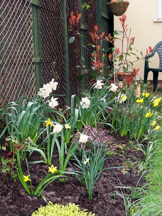 Springing into life!