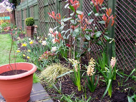 Edge of patio