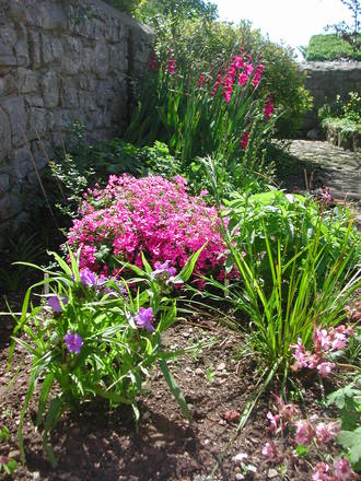 New planting.