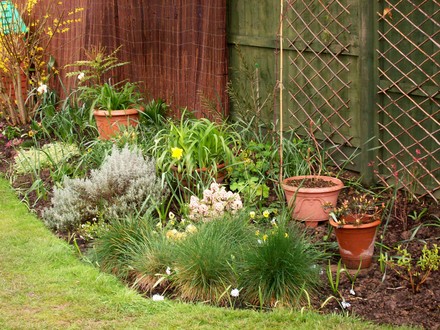 Woodland bed late march 2008