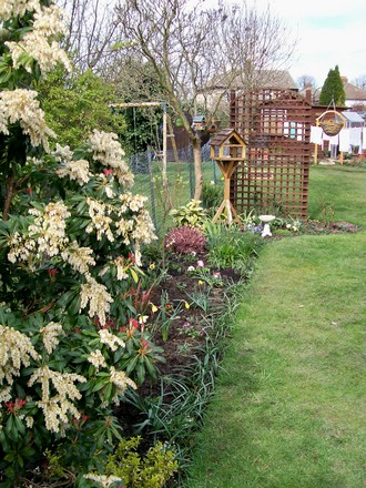 View from left side of the patio