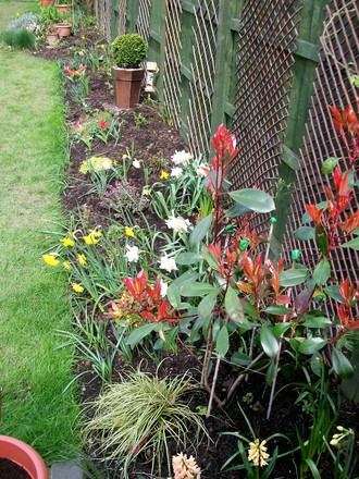spring display