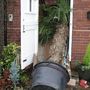 Blog 10. palm down garage steps