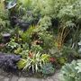 Jungle_1