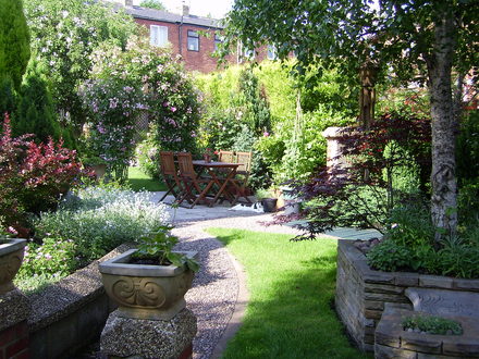 A garden flower photo