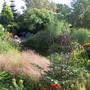 general view in garden