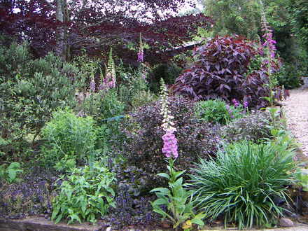 Purple border