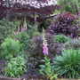 Pict0031