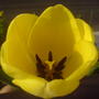 Dsc00954