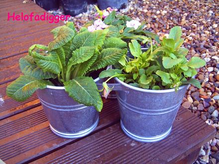 Tin pots